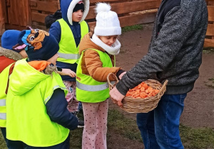 grupa dzieci ubranych w odblaskowe kamizelki głaszcze i karmi kozy
