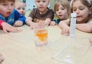 dzieci obserwują jakie procesy chemiczne zachodzą w słoiku z wodą po dodaniu barwnika