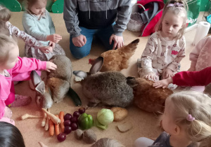 Na zdjęciu widać dzieci siedzące w kręgu na podłodze w sali przedszkolnej. W środku znajduje się mężczyzna oraz dwa króliki i dwie kury, które jedzą warzywa rozłożone na podłodze.