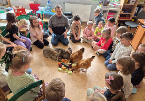 Na zdjęciu widać dzieci siedzące w kręgu na podłodze w sali przedszkolnej. W środku znajduje się mężczyzna oraz dwa króliki i dwie kury, które jedzą warzywa rozłożone na podłodze.