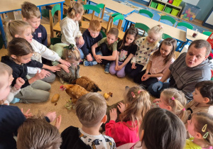 Na zdjęciu widać dzieci siedzące w kręgu na podłodze w sali przedszkolnej. W środku znajduje się mężczyzna oraz dwa króliki i dwie kury, które jedzą warzywa rozłożone na podłodze.