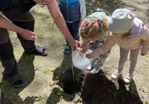 Dzieci podlewają zasadzone w ogrodzie drzewo