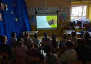 Starszaki oglądają prezentację na tablicy multimedialnej o Misiach