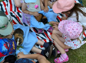 Zdjęcie zrobione od góry widać głowy i czapki dzieci, które trzymają i głaszczą świnki morskie na kocyku.