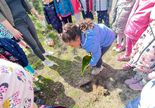 Średniaki sadzą sadzonki sosny w przedszkolnym ogrodzie