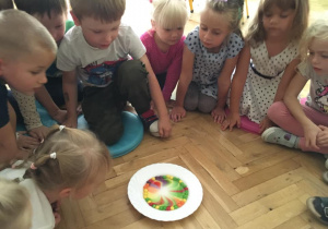 Dzieci robią doświadczenie z cukierkami, które pod wpływem mleka rozpuszczają się tworząc kolorową tęczę.