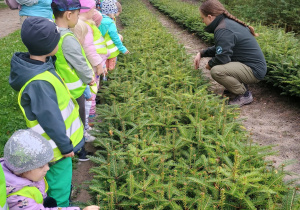 Dzieci w odblaskowych kamizelkach oglądają małe drzewa iglaste.