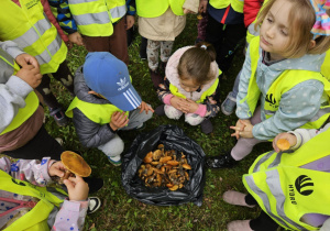 Dzieci nachylają się nad torbą z grzybami.